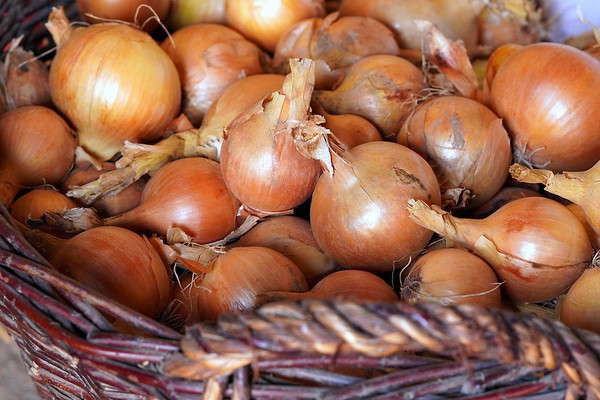 Uzbekistan establishes a temporary restriction on the export of onions