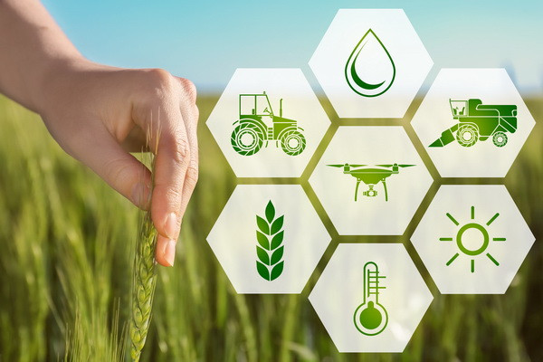EBRD announces agriculture and food innovation competition