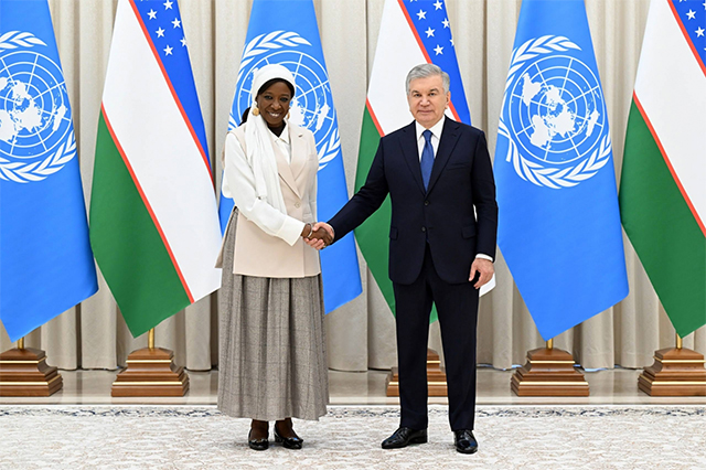 Mirziyoyev Discusses New Projects With UNFPA Chief