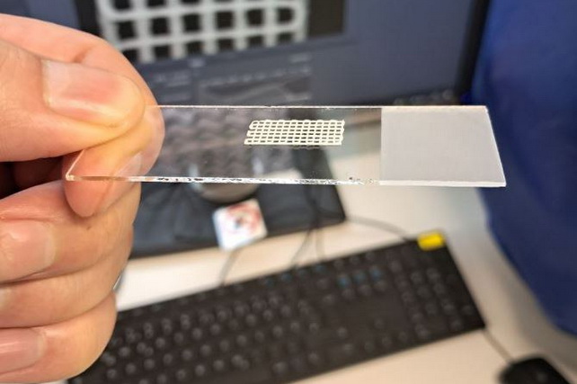 Oʻzbekistonda inson aʼzolarini 3D bioprinterda chop etish imkoniyati yaratilmoqda