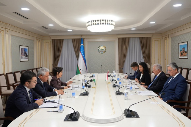 Parliamentarians of Uzbekistan and Hungary Hold Meeting in Tashkent