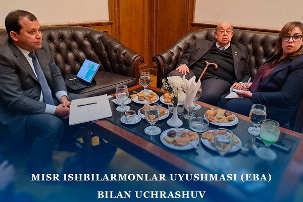 Issues on the creation of the Uzbek-Egyptian Business Council were discussed
