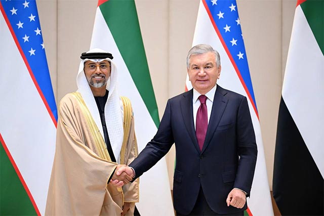 Mirziyoyev Meets UAE Delegation to Discuss Energy Cooperation