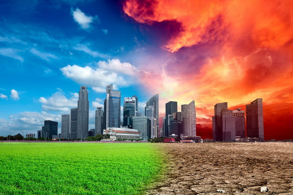 Debts in exchange for climate: to be or not to be?
