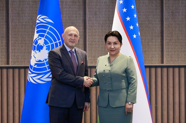 Senati Raisi BMT Bosh kotibining maxsus vakili bilan uchrashdi