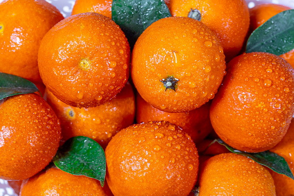 Import of tangerines exceeded 16,200 tons
