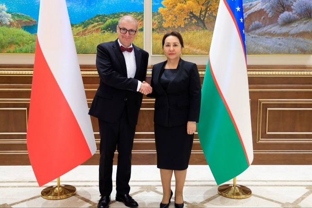 Uzbek Senate discusses prospects for Uzbek-Polish inter-parliamentary cooperation