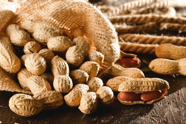 Uzbekistan exports 15,600 tons of peanuts for 10 months