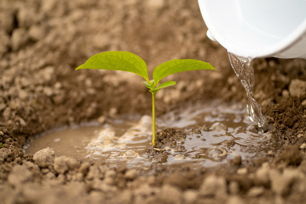 EBRD helps improve efficiency of irrigation in Uzbekistan