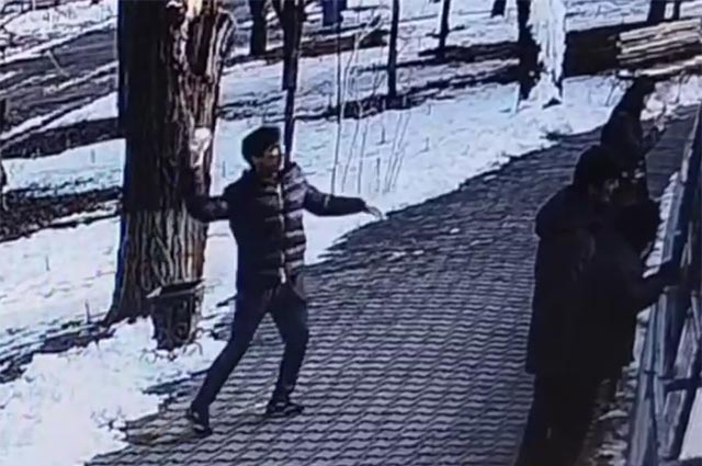 Тошкент зоопаркида йўлбарсларга тош қўшилган қор улоқтирган ташриф буюрувчилар чиқариб юборилди