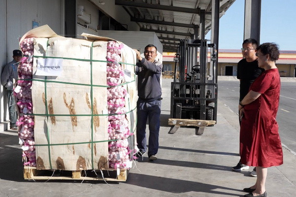 Xinjiang border crossings boost economy