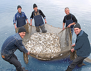 World fish trade to set new records