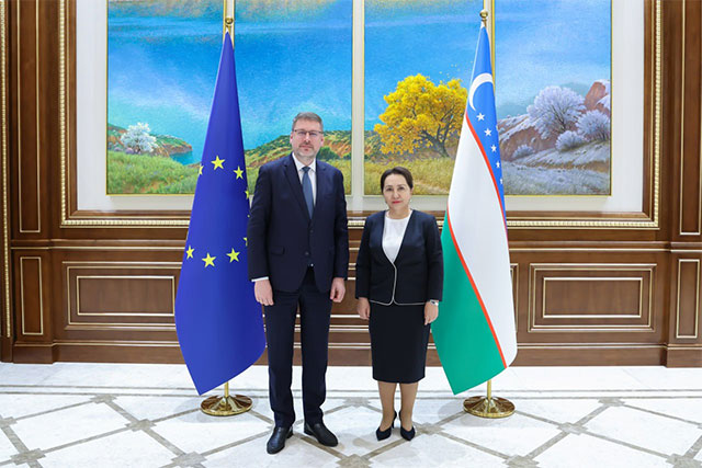 Meeting held in the Senate with the EU Special Representative for Central Asia