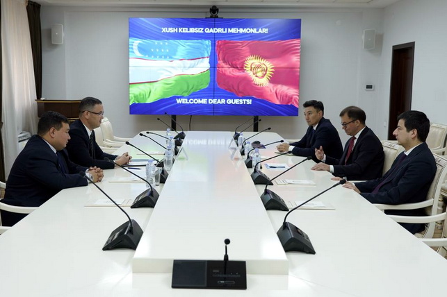 Deputy Ministers of Justice of Uzbekistan and Kyrgyzstan Discuss Cooperation in Digitalization of Legal Sphere
