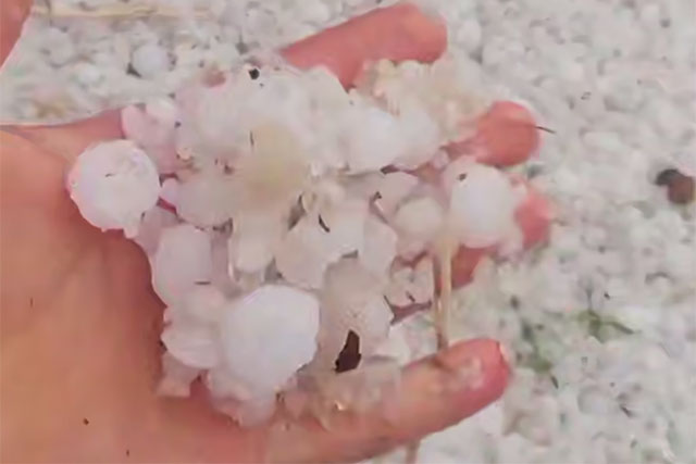 Unusual Weather: Large Hail Falls in Khorezm Region in June