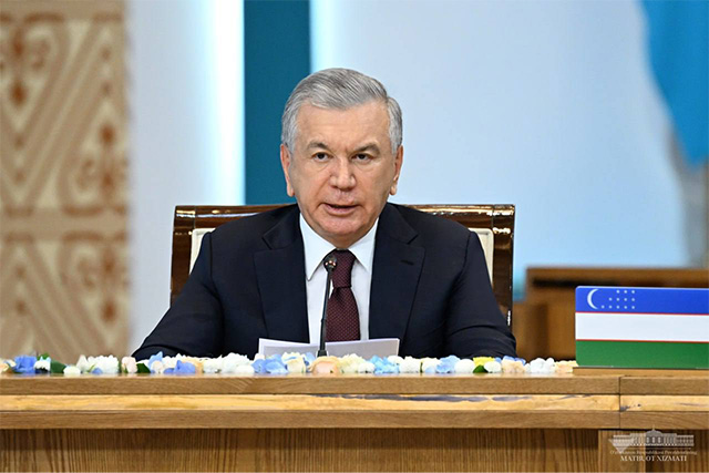 President of Uzbekistan highlights key areas of cooperation between Central Asia and Germany