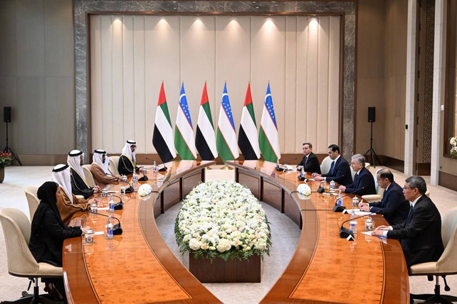 President Receives UAE Delegation to Discuss Strategic Partnership