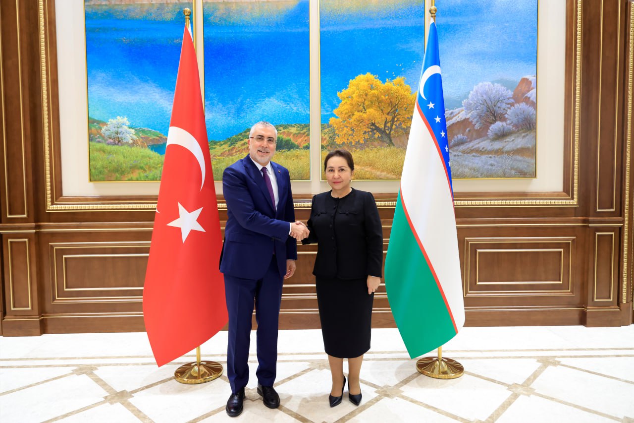 Senate discusses development of Uzbek-Turkish cooperation in labor and social protection