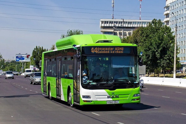 Number of Female Bus Drivers in Tashkent on the Rise