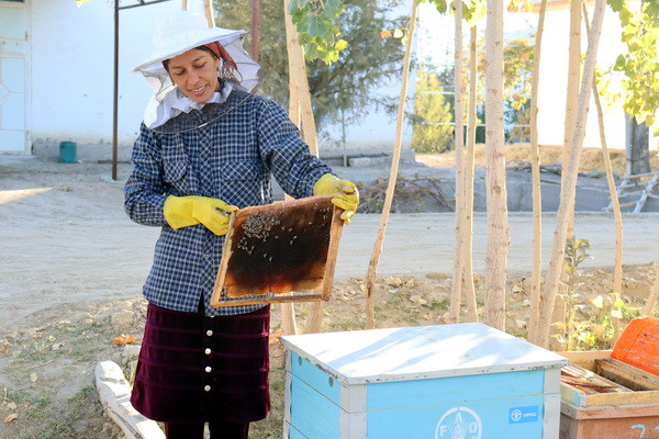 How the CADI project helps to improve livelihoods of rural communities