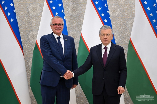 President of Uzbekistan discusses project implementation with Lasselsberger
