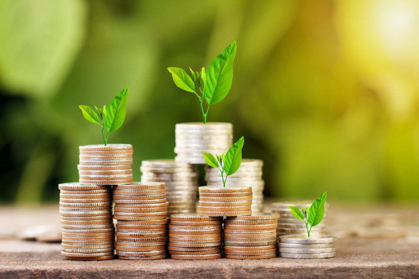 Producers of agricultural products to be provided with a subsidy through the information system “Agrosubsidia”