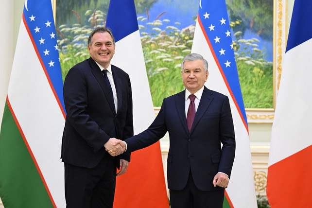 Uzbek President Meets French Transport Minister to Discuss Strategic Partnership