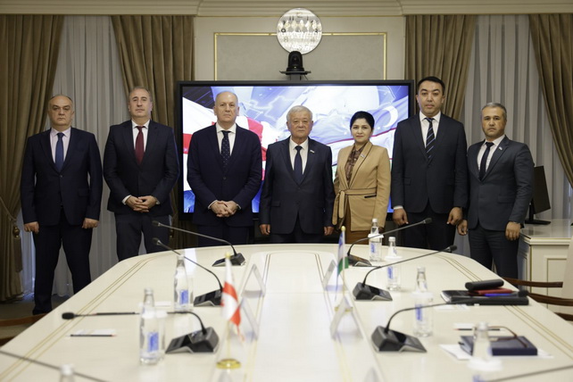 Senate Discusses Strengthening Interparliamentary Relations Between Uzbekistan and Georgia