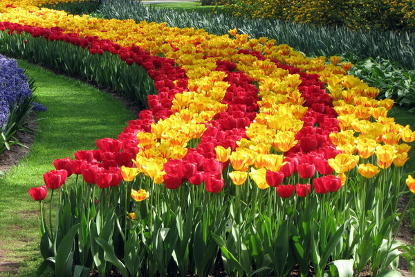 В Намангане пройдёт 65-й Фестиваль цветов