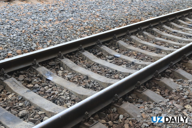 Россия предложила поддержку ж/д проекту КНР–ЦА