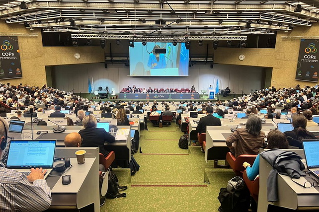 Uzbek delegation participates in the 12th Conference of the Parties to the Rotterdam Convention