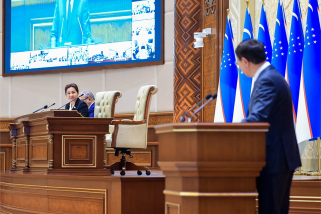 Senate approves the law on the state budget for 2025