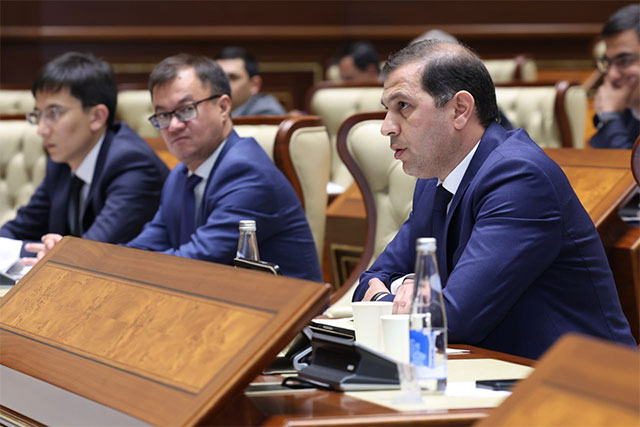 Senate reviews measures to develop the services sector in Uzbekistan’s regions