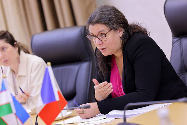 Ўзбекистон ва Франция тараққиёт агентлиги энергетика, сув таъминоти ва инфратузилма соҳаларида истиқболли лойиҳаларни муҳокама қилди