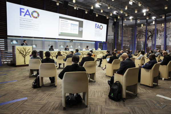FAO’s Global Action on One Country One Priority Product (OCOP) project launched in Uzbekistan