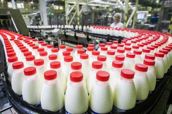 Uzbekistan produces 552.7 tons of yogurt in December 2022