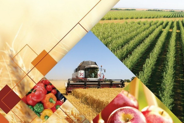 Uzbekistan and Kazakhstan are implementing 12 joint investment projects in the agro-industrial complex until 2050