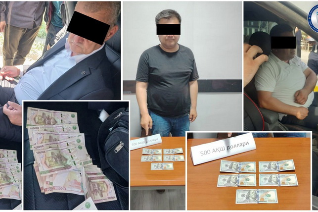 Fraud committed by three lawyers uncovered in Kashkadarya region