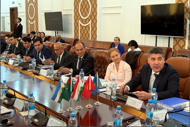 Uzbek expert emphasizes the importance of developing strategic partnership in Central Asia