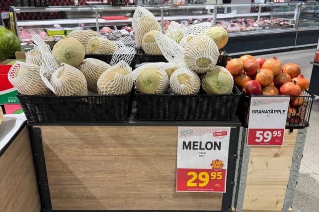 "Fergana Exim Agro" MCHJ tomonidan Shvetsiyaga qovun eksport qilinmoqda