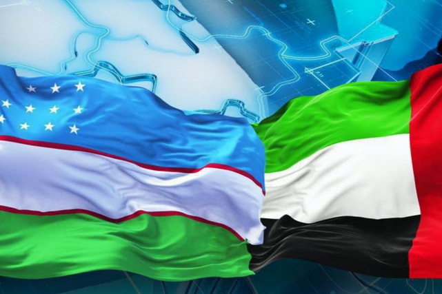 Uzbek Citizens Can Drive in the UAE with National Licenses Without Additional Exams