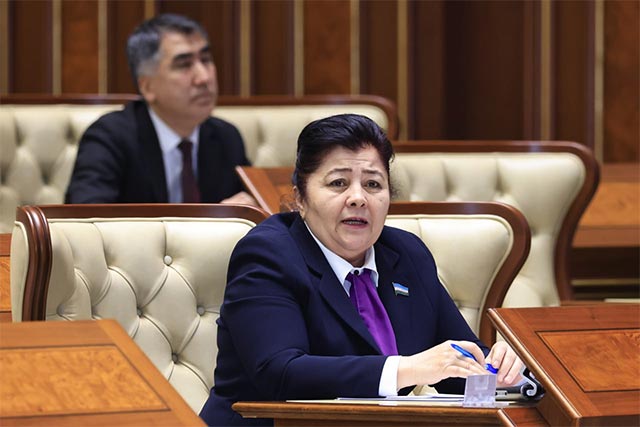 Senate Approves Amendments to the Law on the State Budget for 2025
