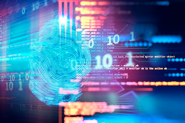 Software products Technopark to be created in Uzbekistan