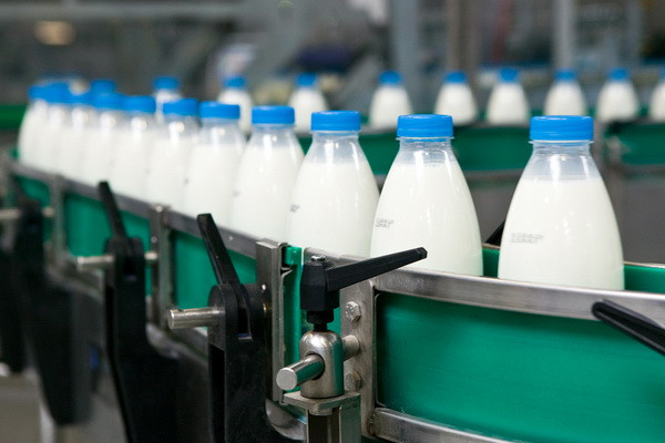 IPMI experts analyzed the efficiency of milk production in Uzbekistan