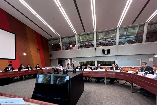 A delegation of Uzbekistan takes part in a seminar on conventions of the Council of Europe