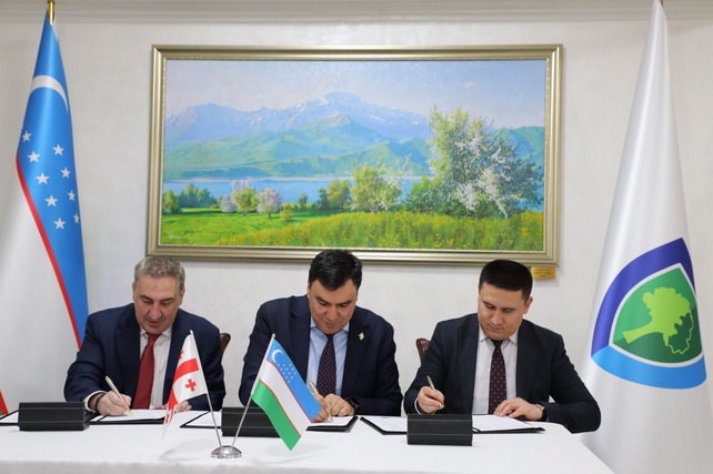 Uzbekistan to develop rourism development strategy until 2040