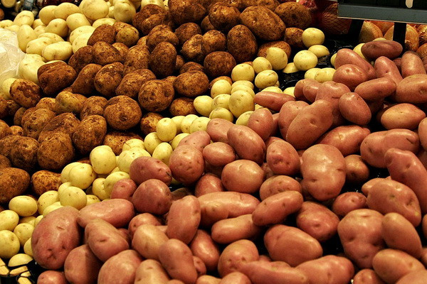 Potato imports exceeded 22.5 thousand tons