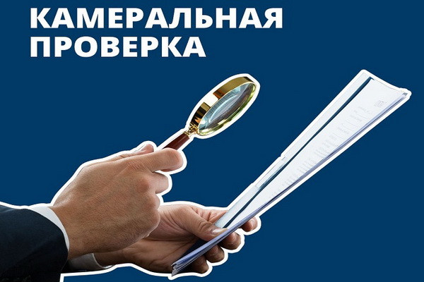 How will cameral tax audit be appointed in Uzbekistan?