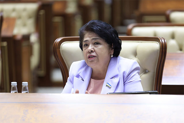 Senate approves the law on ratification of the treaty between Uzbekistan and Azerbaijan on allied relations
