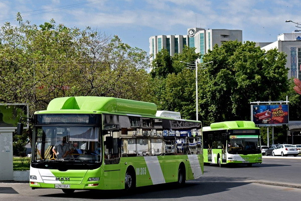 Measures to reorganize the public transport system in Uzbekistan approved